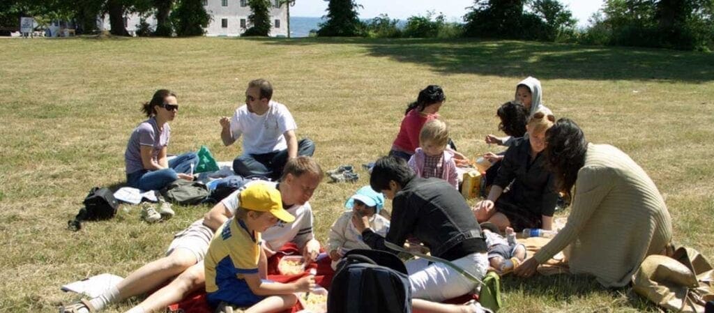 människor som sitter och har picknick på gräset