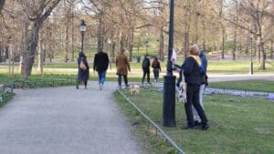 människor som går i en park