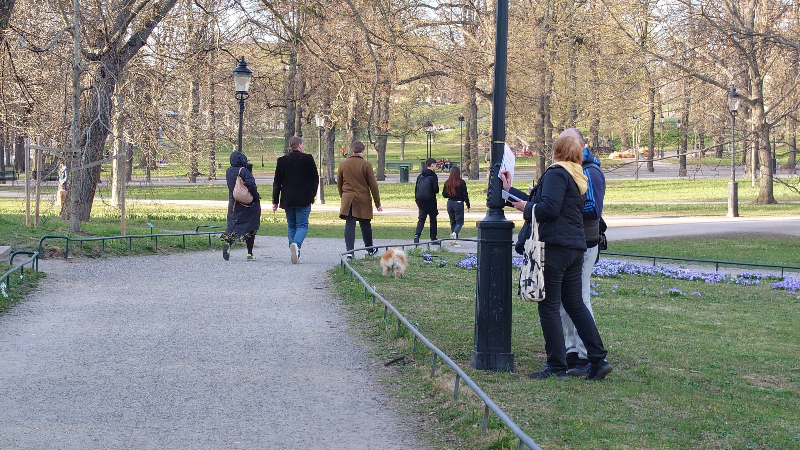 люди, гуляющие по парку