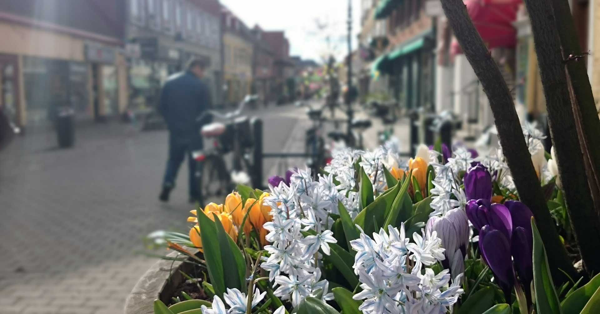 весенние цветы на городской улице
