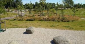 камни и деревья в парке