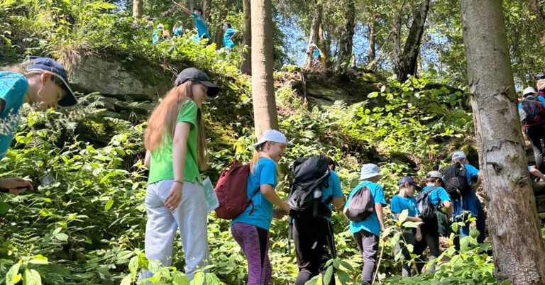 barn som går på en rad i en skog